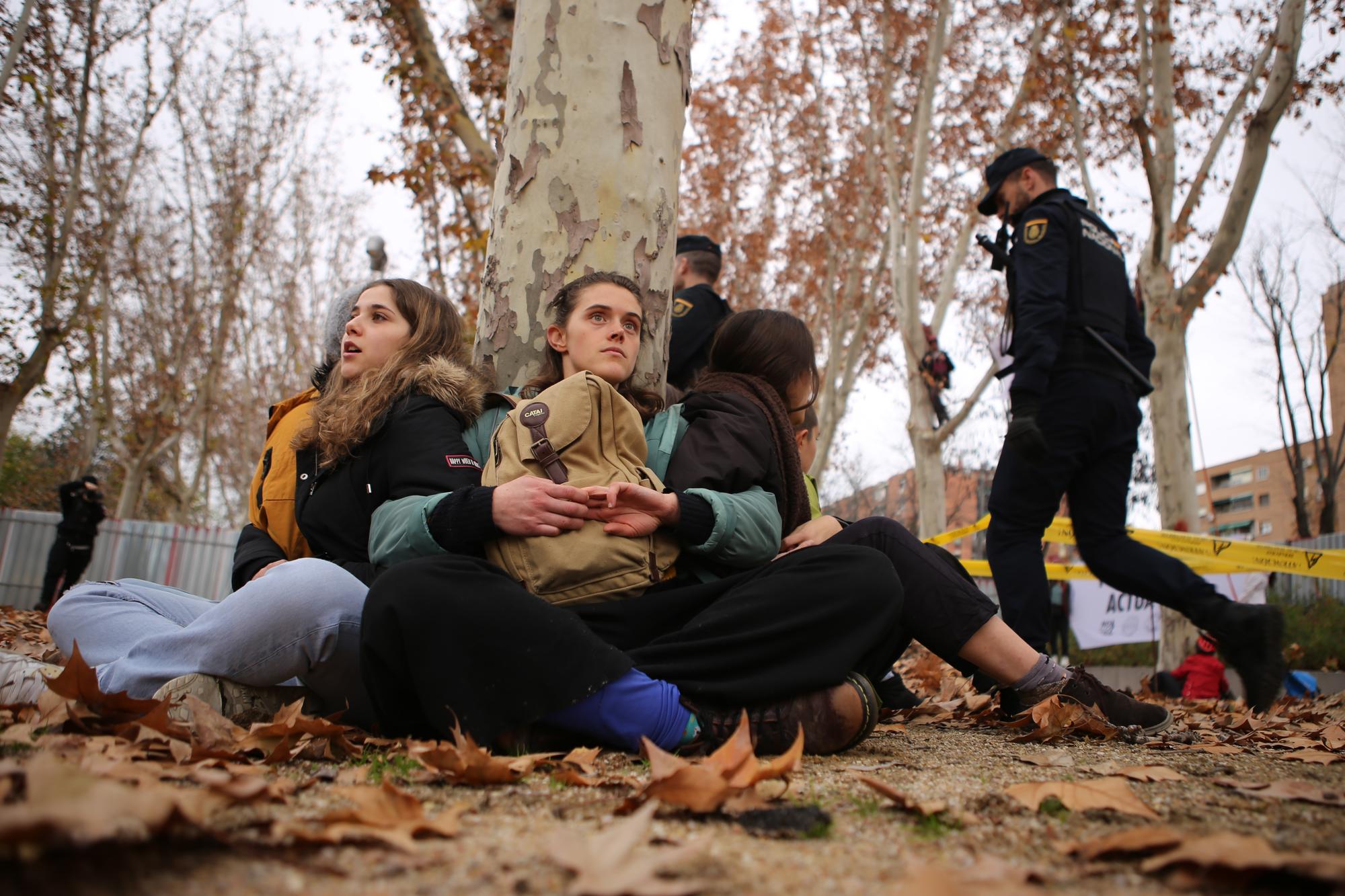 Tala árboles linea 11 Madrid - 1